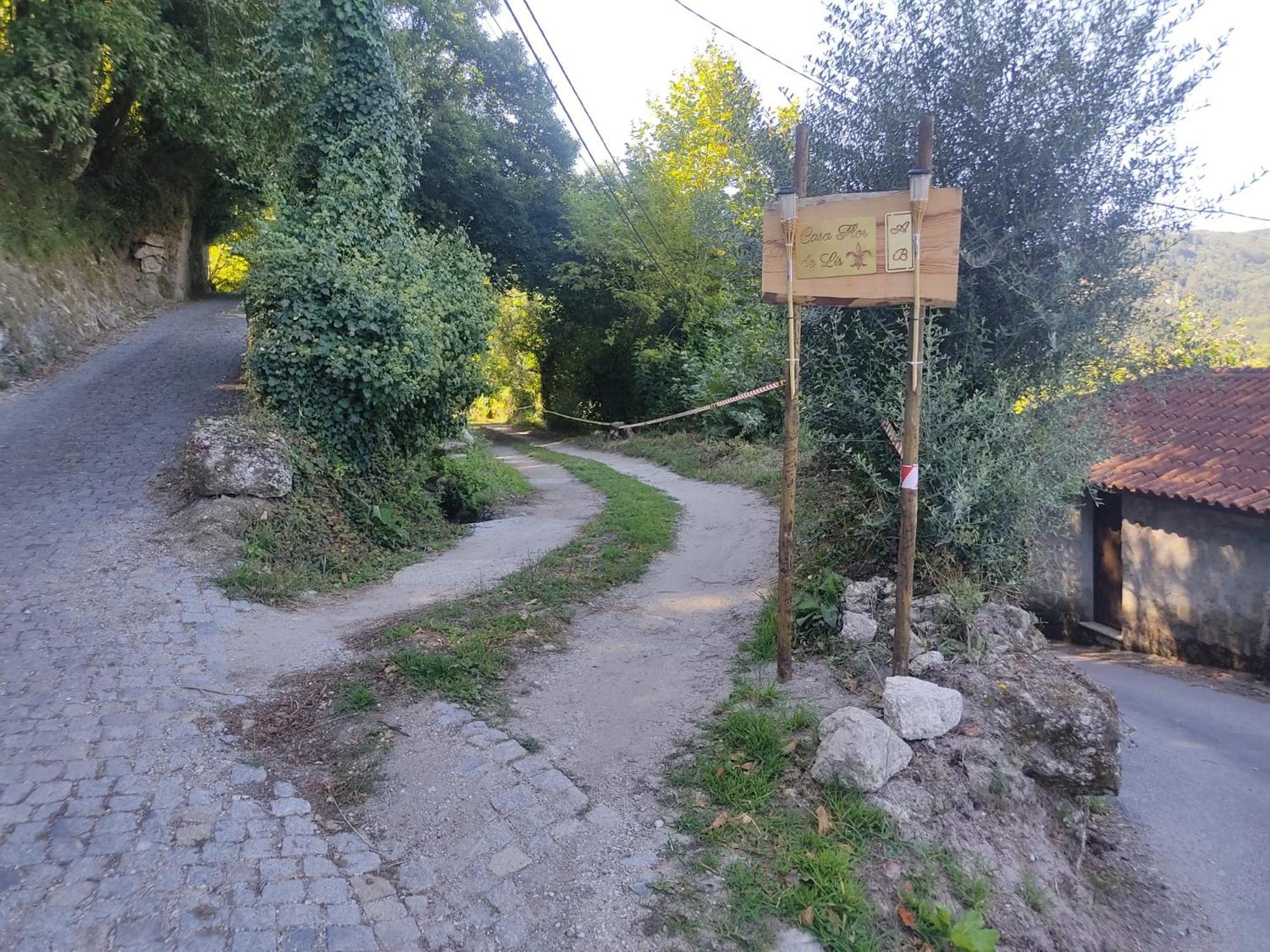 Quinta Flor De Lis, Geres Villa Vieira do Minho Eksteriør billede